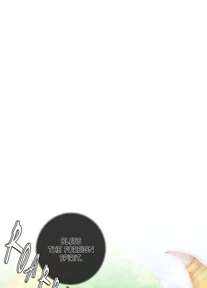 1634769 720 1000 15800